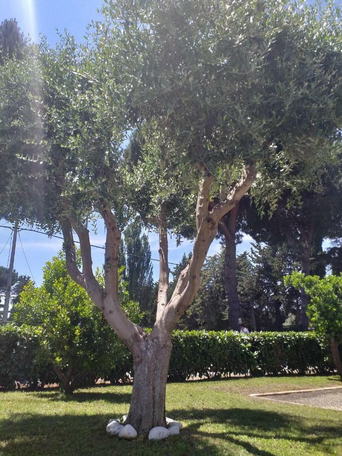 Villa Vittorio Infernetto Eksteriør bilde